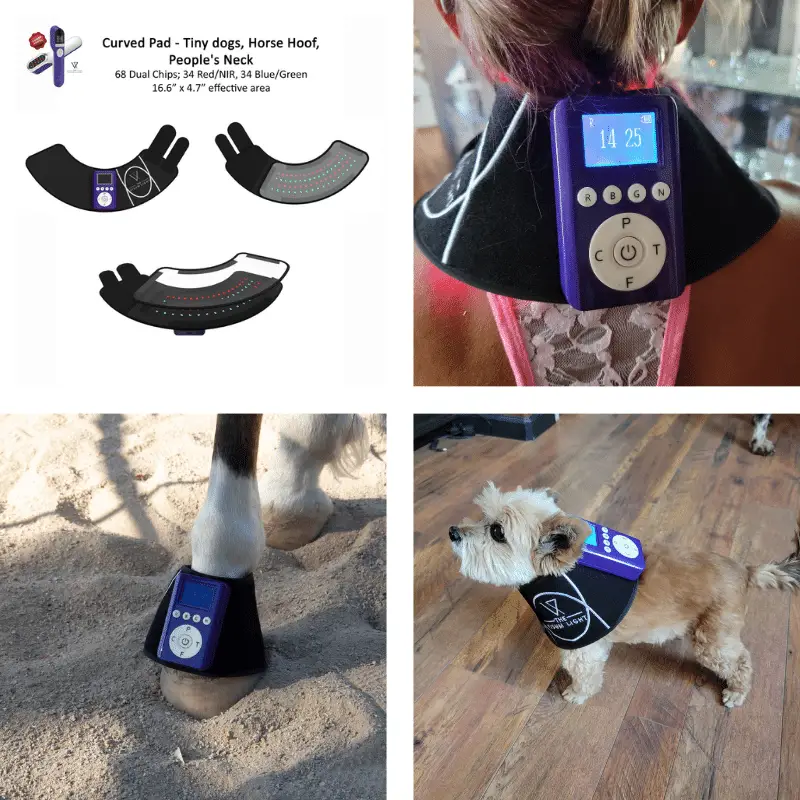 Curved Pad Red Light Therapy for Dogs + Horses