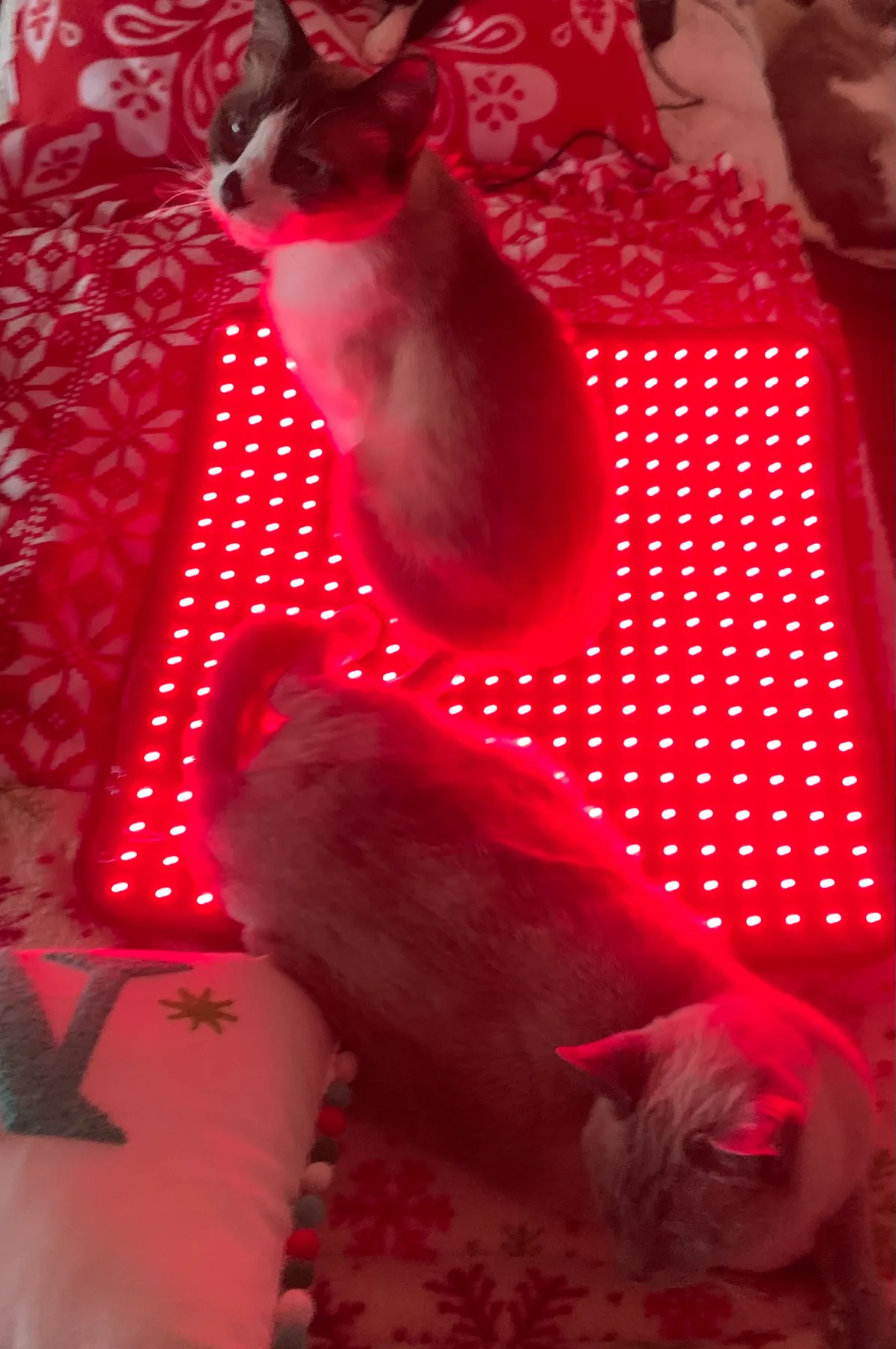 Red Light Therapy Irradiance