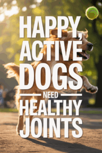 7 essential dog joint supplements your vet doesnt want you to miss 0 2025 08 27022651.png