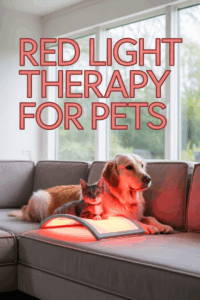 mitopets pad red light therapy pain relief for cats dogs 0 2025 09 28034945.png